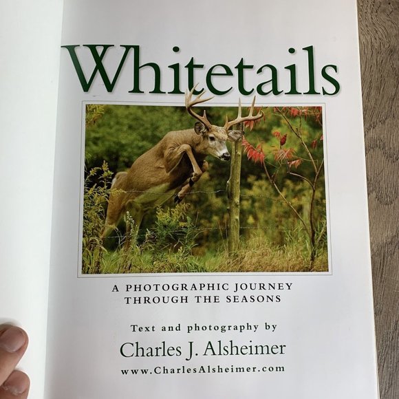 Whitetails by Charles Alsheimer & Another Look Life Deer Stand by Steve Chapman - Picture 8 of 16